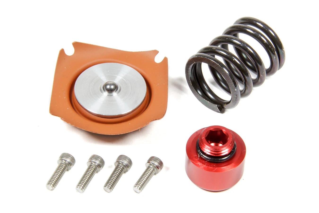 Aeromotive 13013 Regulator Rebuild Kit - 13303 35-75psi .188 Seat