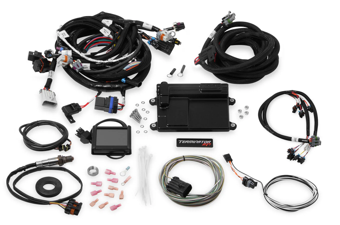 Holley 550-614 Terminator GM LS MP-EFI 97-07 Trk /4.8/5.3/6.0