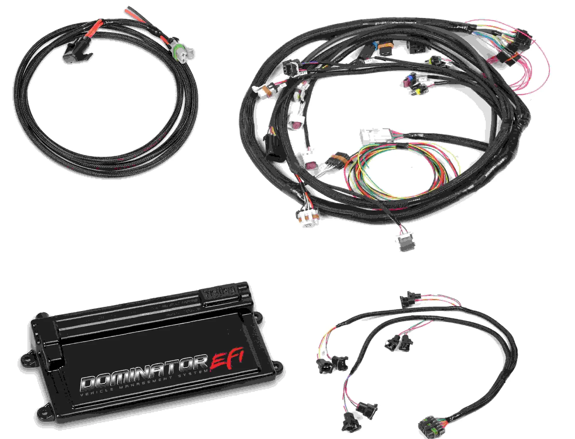 Holley 550-652 Dominator EFI Universal Main Harness with EV1 Injector Harness Kit
