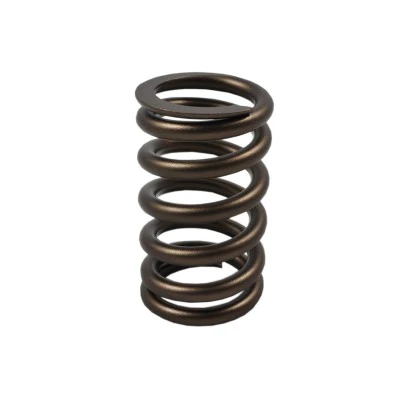 PAC Racing PAC-1210X-16 602 Series Valve Springs 1.245 OD